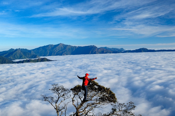 Sea of clouds in Ta Xua Vietnam